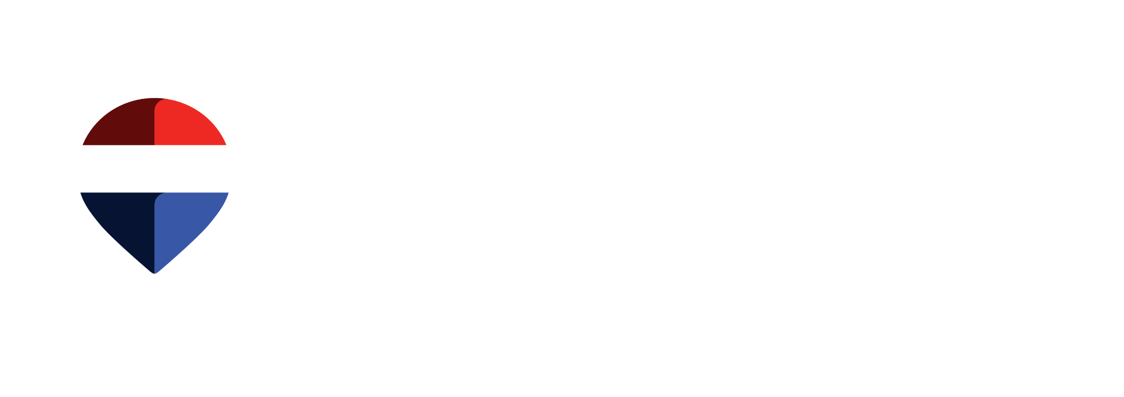 Viani Real Estate Group